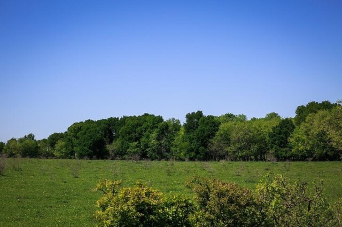 Picture of Residential Land For Sale in Chappell Hill, Texas, United States