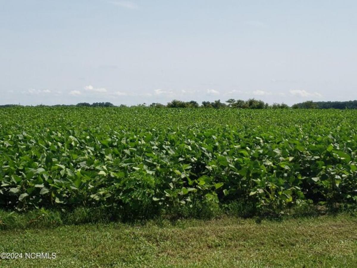 Picture of Residential Land For Sale in Goldsboro, North Carolina, United States