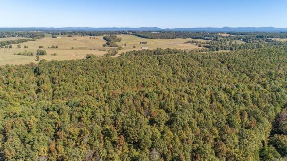 Picture of Residential Land For Sale in Wickes, Arkansas, United States