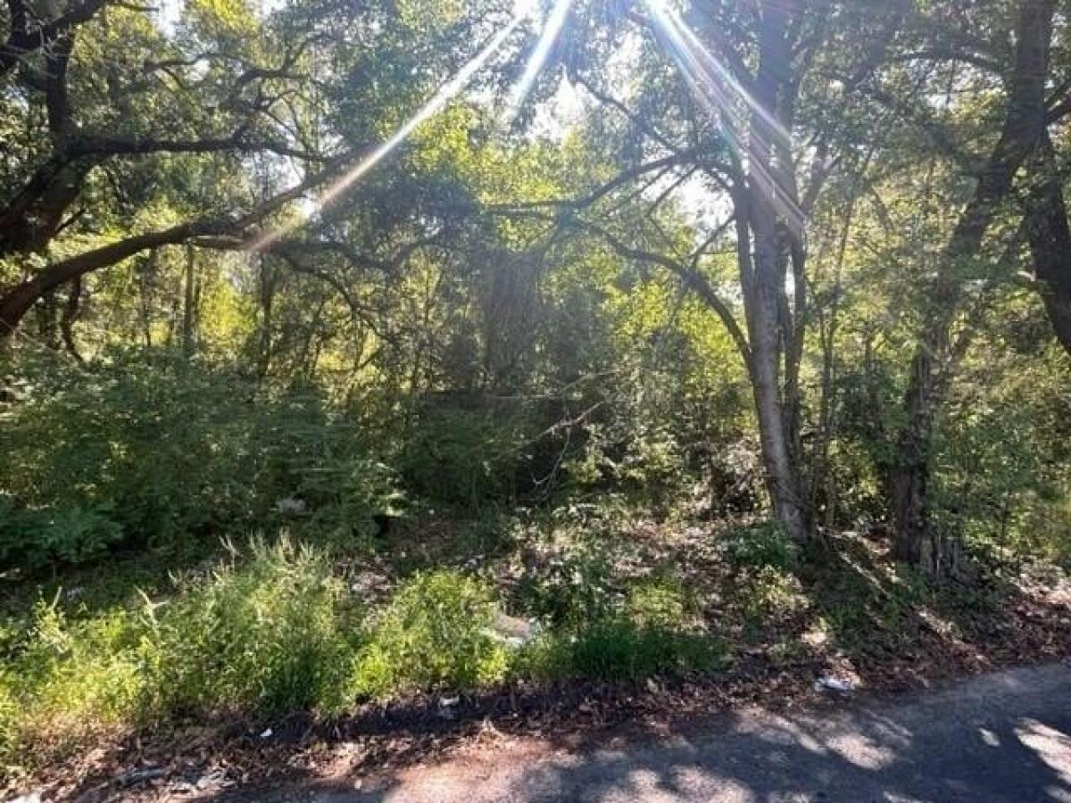 Picture of Residential Land For Sale in Ladson, South Carolina, United States