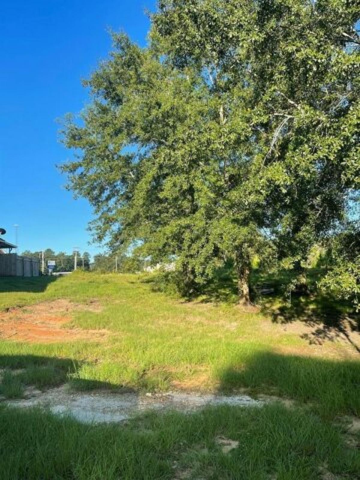 Picture of Residential Land For Sale in Carriere, Mississippi, United States