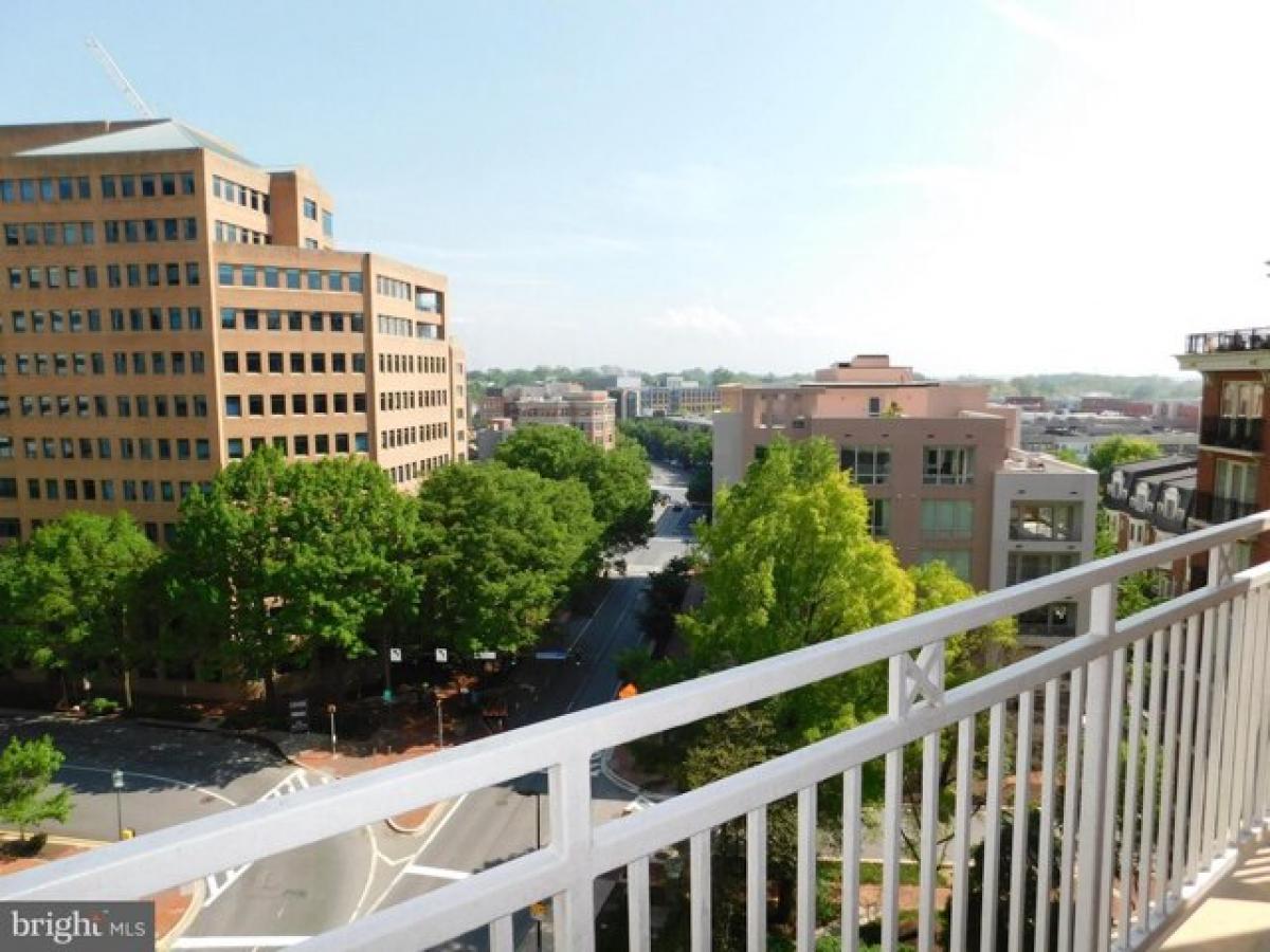 Picture of Home For Rent in Bethesda, Maryland, United States