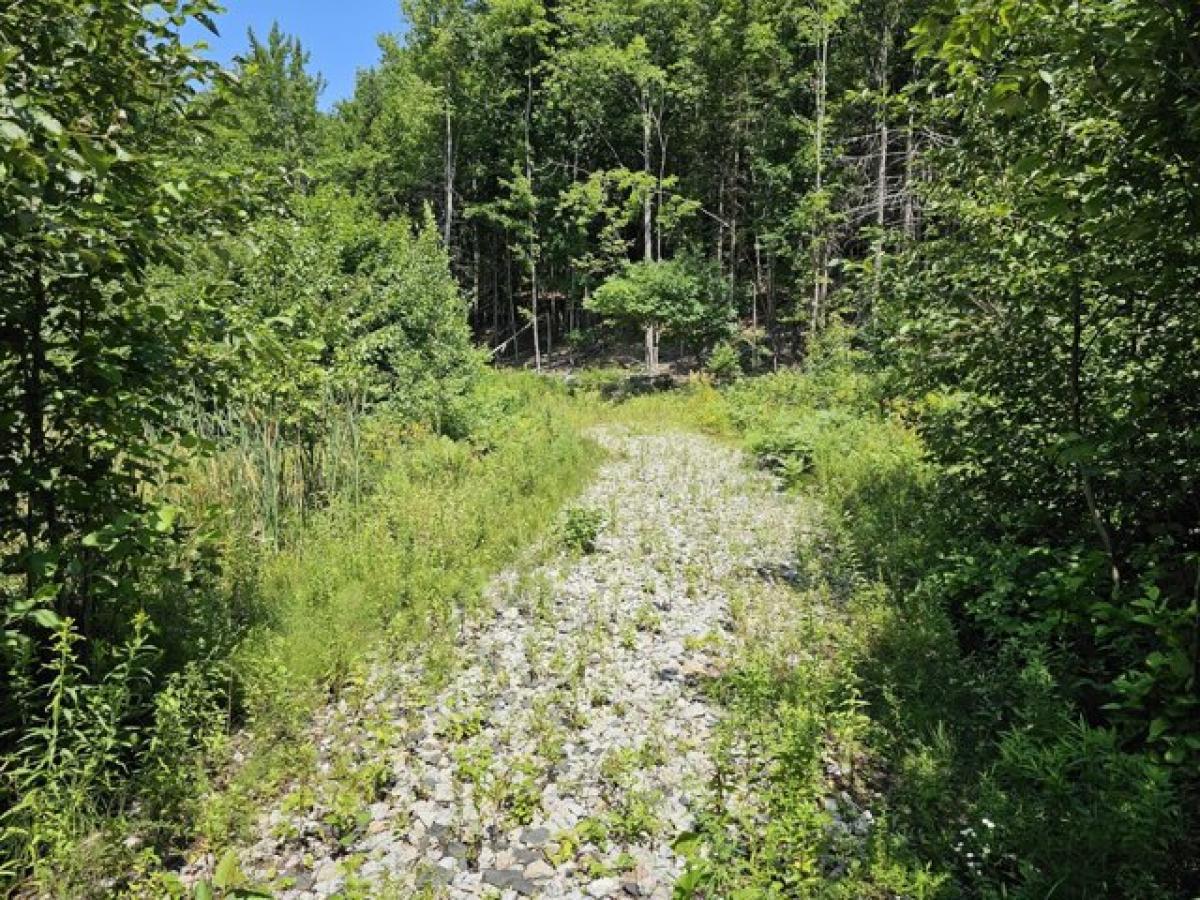 Picture of Residential Land For Sale in Oxford, Maine, United States