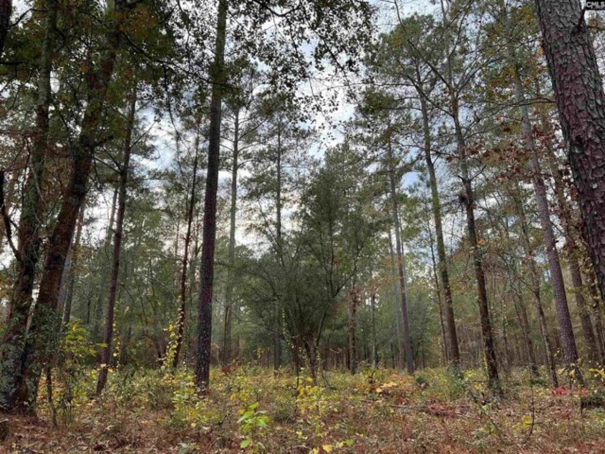 Picture of Residential Land For Sale in Wagener, South Carolina, United States