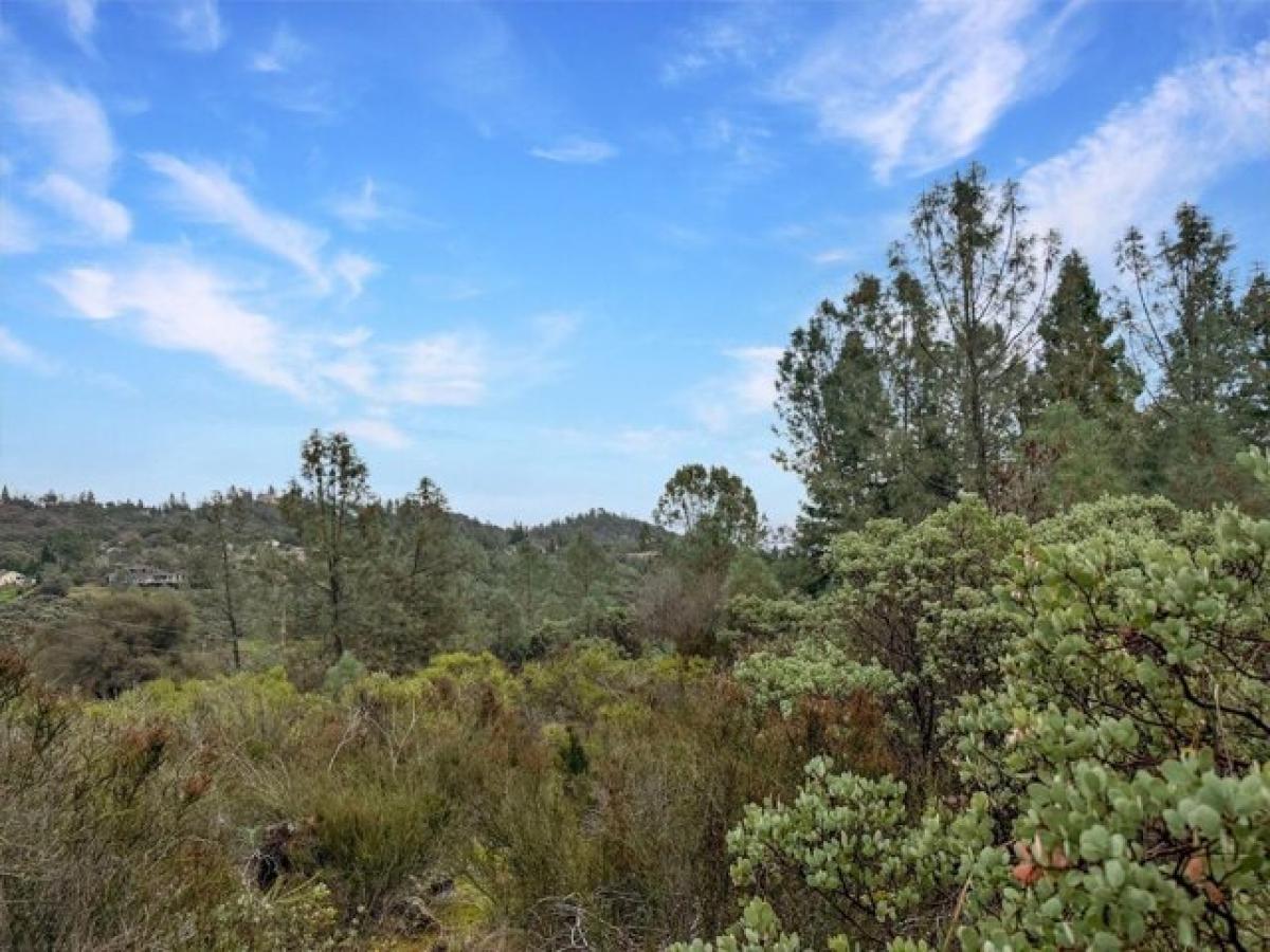 Picture of Residential Land For Sale in Shingle Springs, California, United States