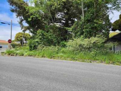 Residential Land For Sale in Crescent City, California