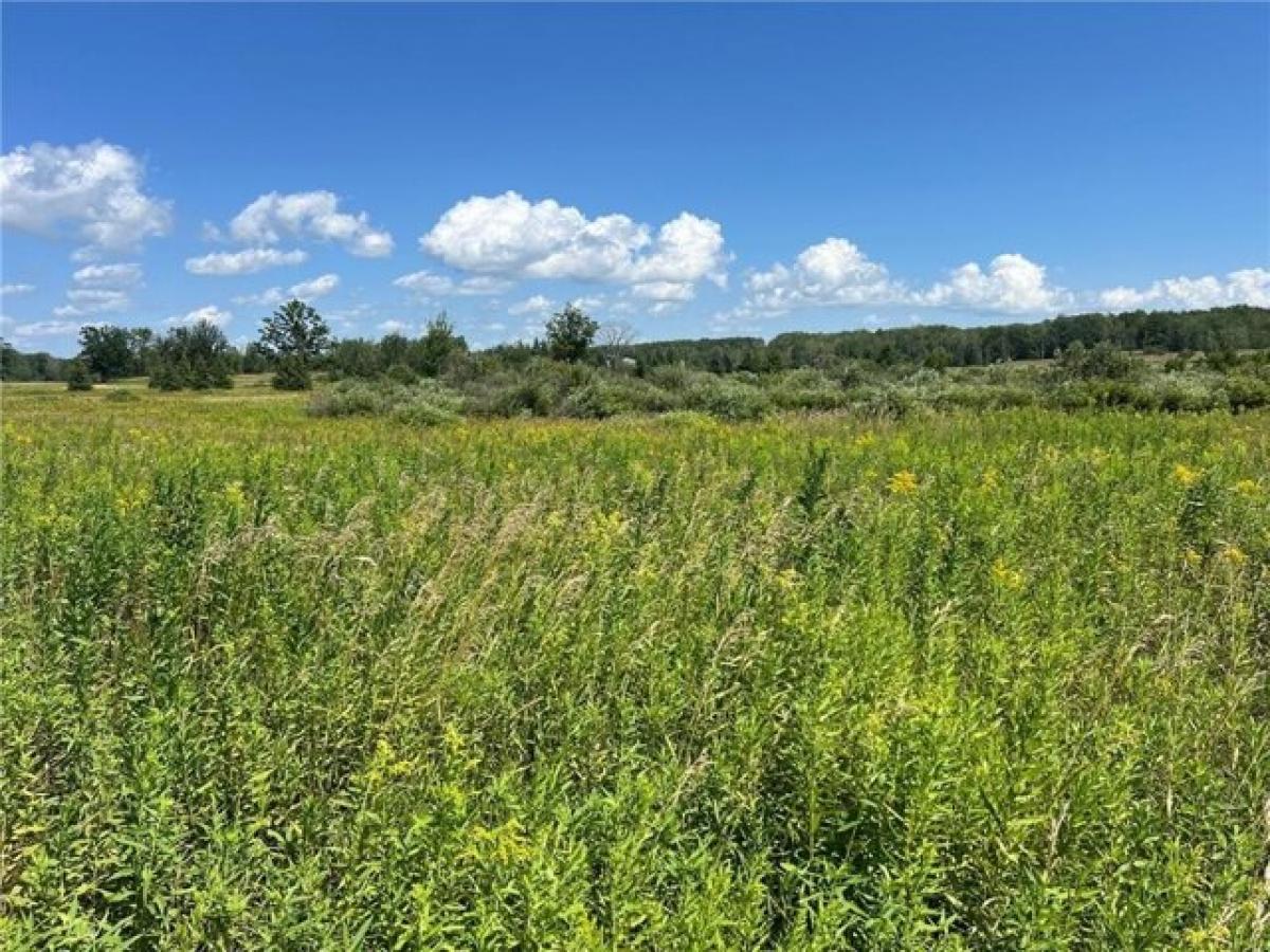 Picture of Residential Land For Sale in Hillman, Minnesota, United States