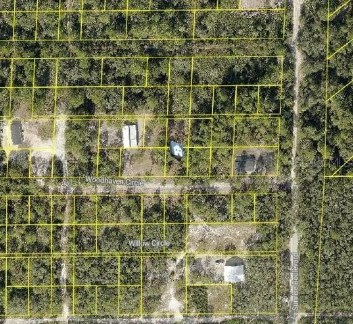 Picture of Residential Land For Sale in Mount Dora, Florida, United States