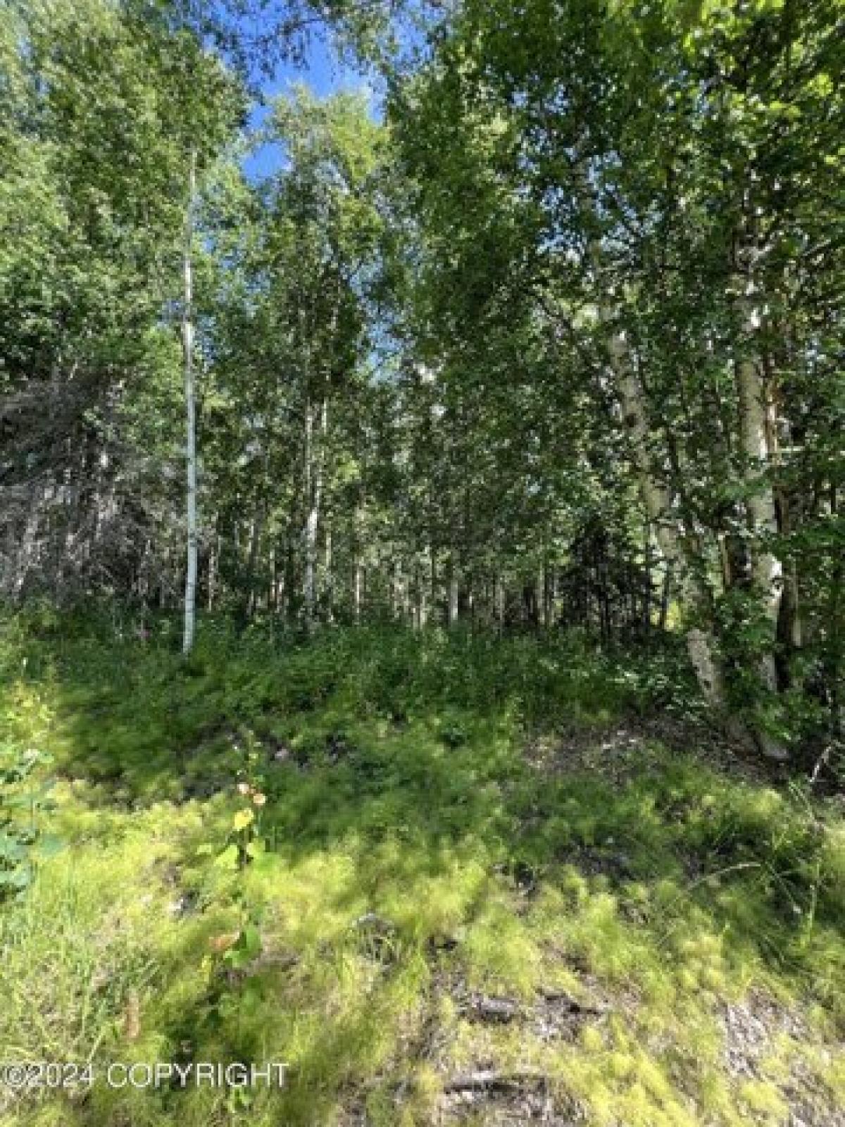 Picture of Residential Land For Sale in Wasilla, Alaska, United States