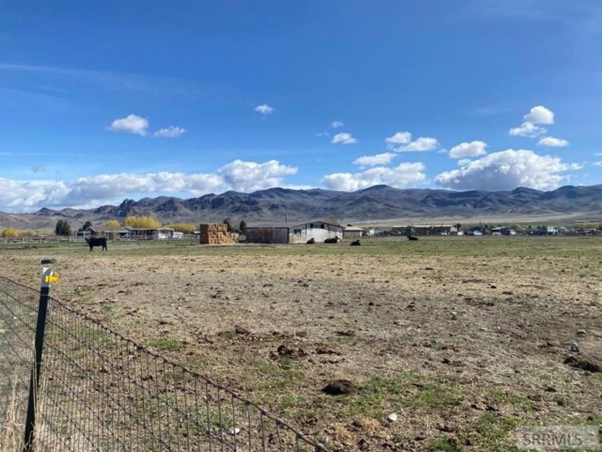 Picture of Residential Land For Sale in Challis, Idaho, United States