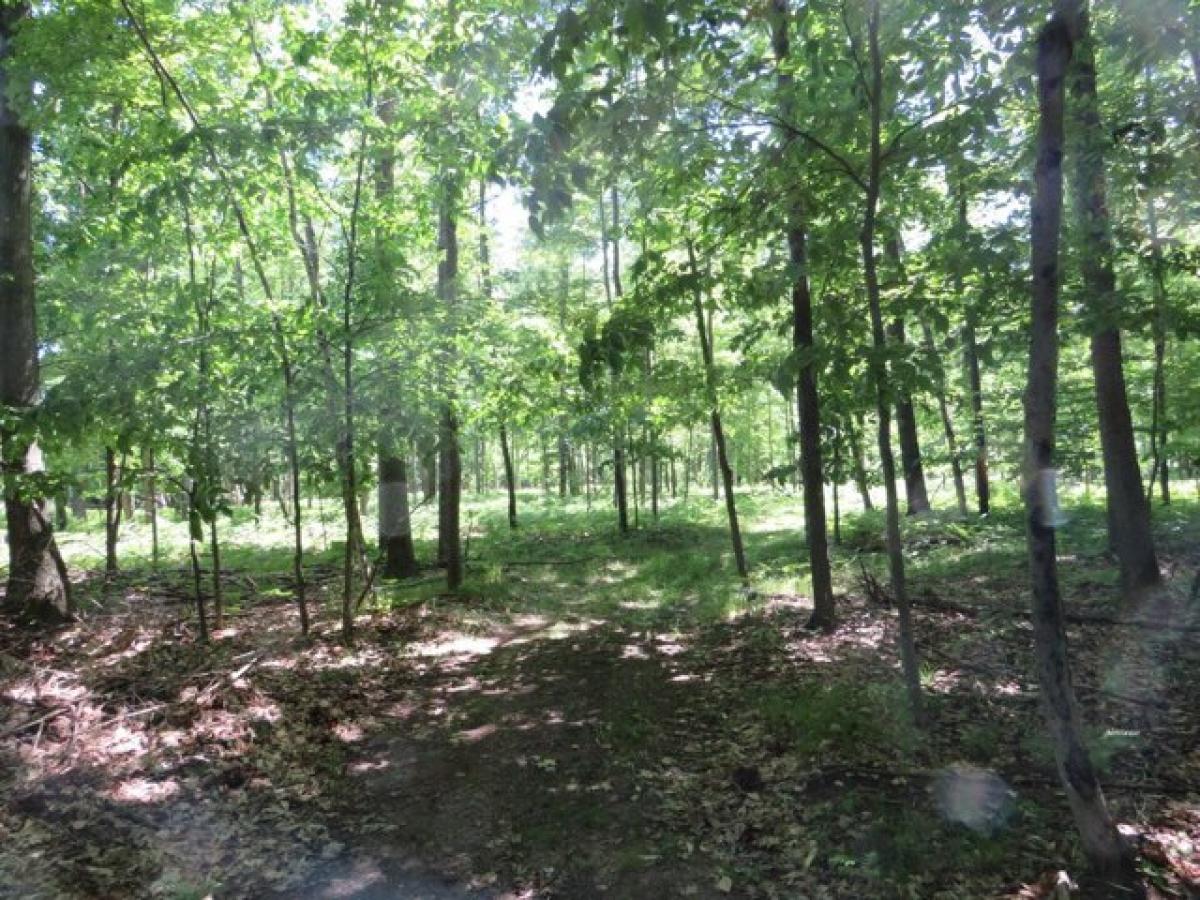 Picture of Residential Land For Sale in Remus, Michigan, United States