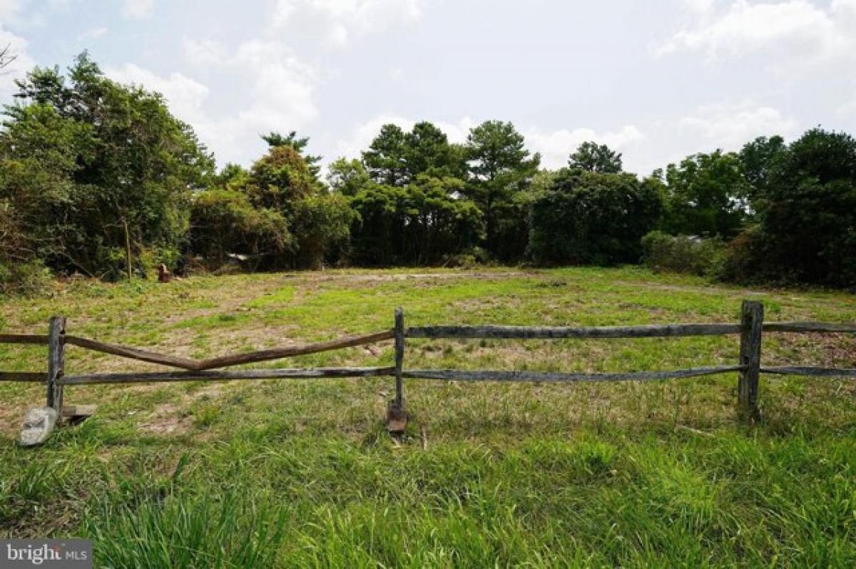 Picture of Residential Land For Sale in Millsboro, Delaware, United States