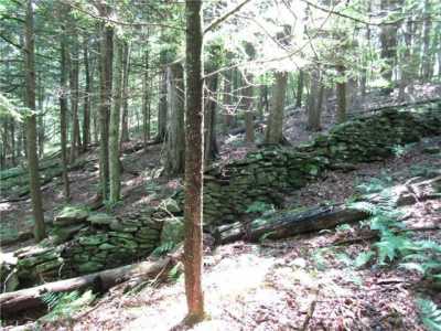 Residential Land For Sale in Margaretville, New York