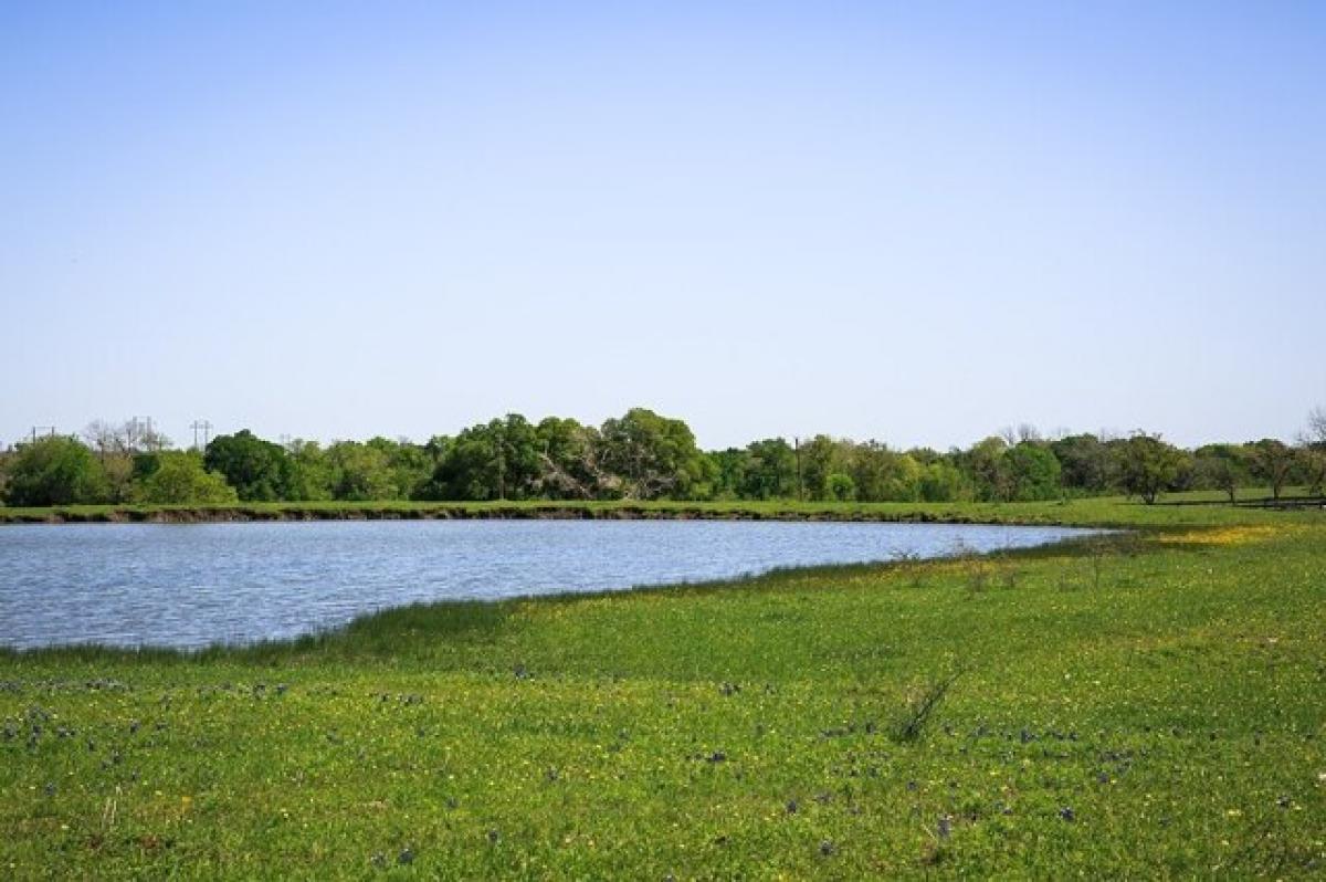 Picture of Residential Land For Sale in Chappell Hill, Texas, United States