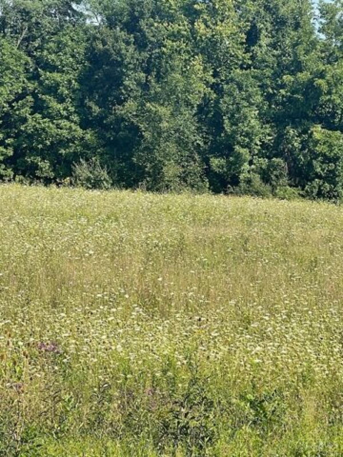 Picture of Residential Land For Sale in Hillsboro, Ohio, United States