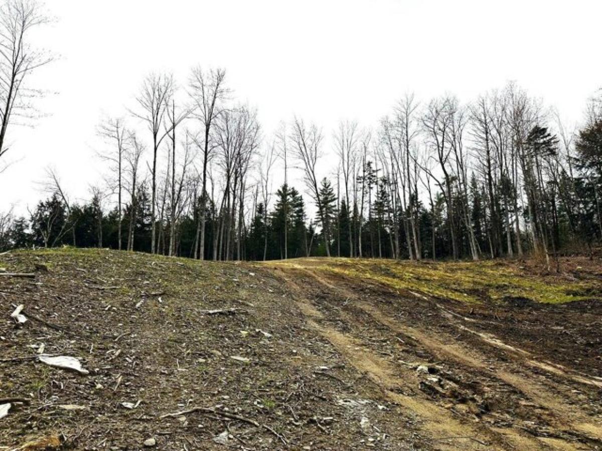 Picture of Residential Land For Sale in Craftsbury, Vermont, United States