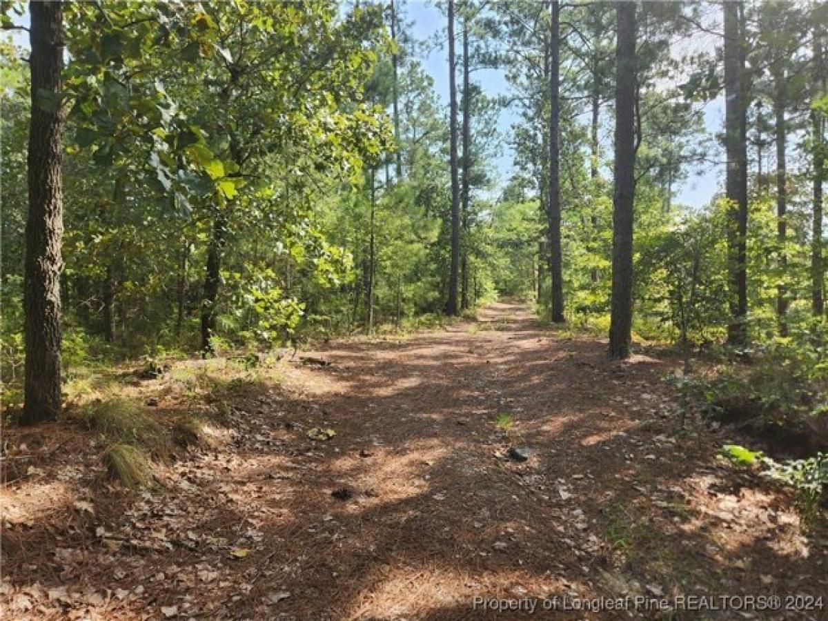 Picture of Residential Land For Sale in Fayetteville, North Carolina, United States