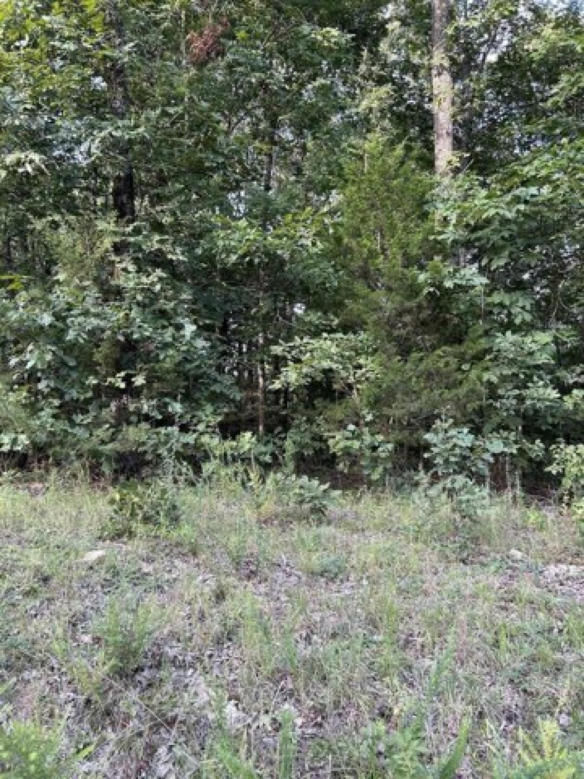 Picture of Residential Land For Sale in Hardy, Arkansas, United States