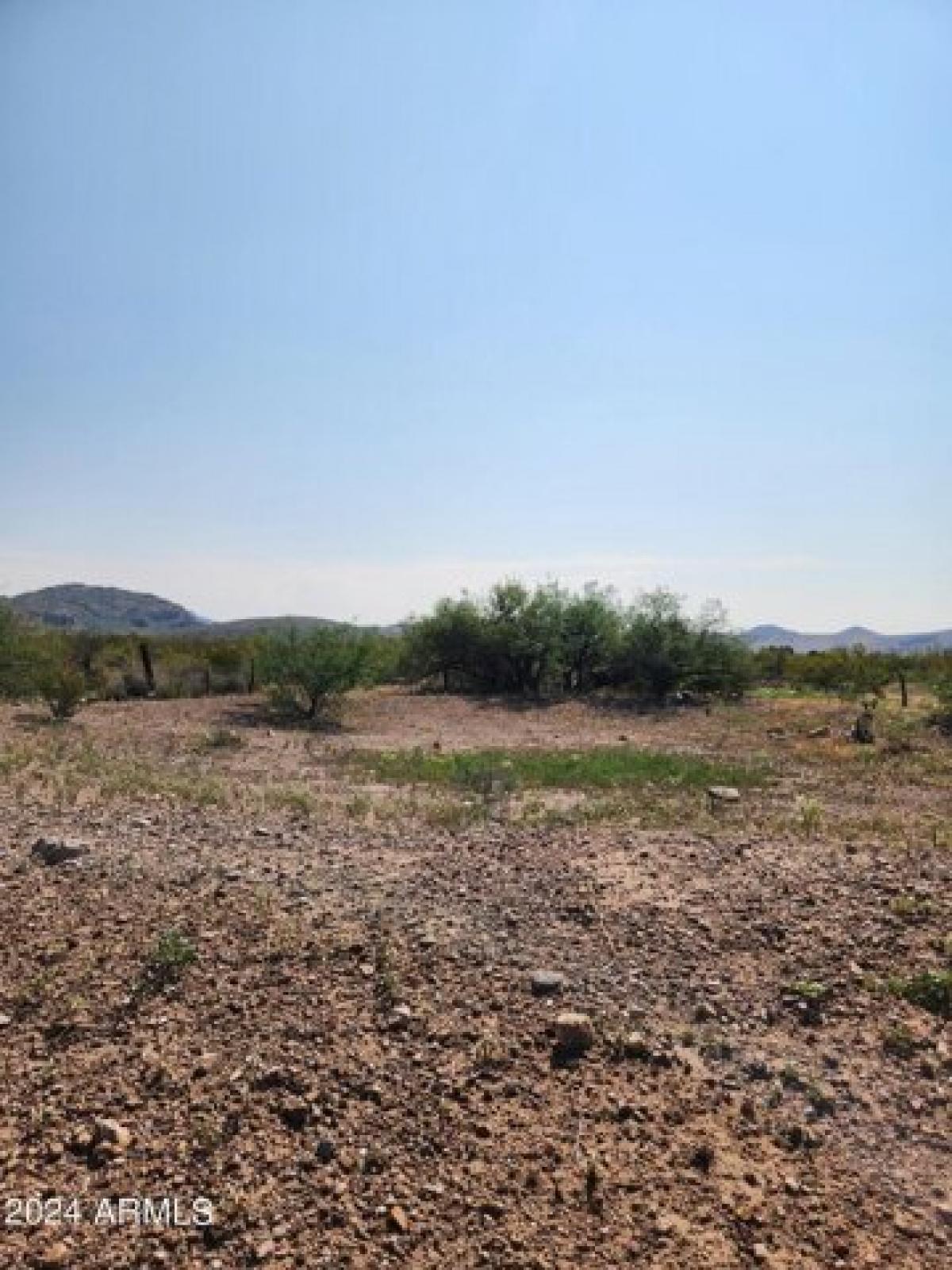 Picture of Residential Land For Sale in Douglas, Arizona, United States