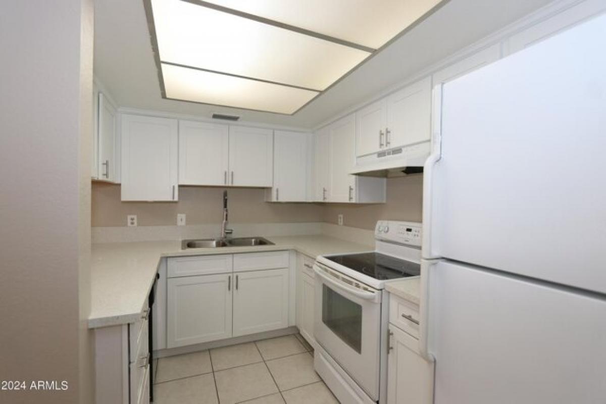 Picture of Apartment For Rent in Mesa, Arizona, United States