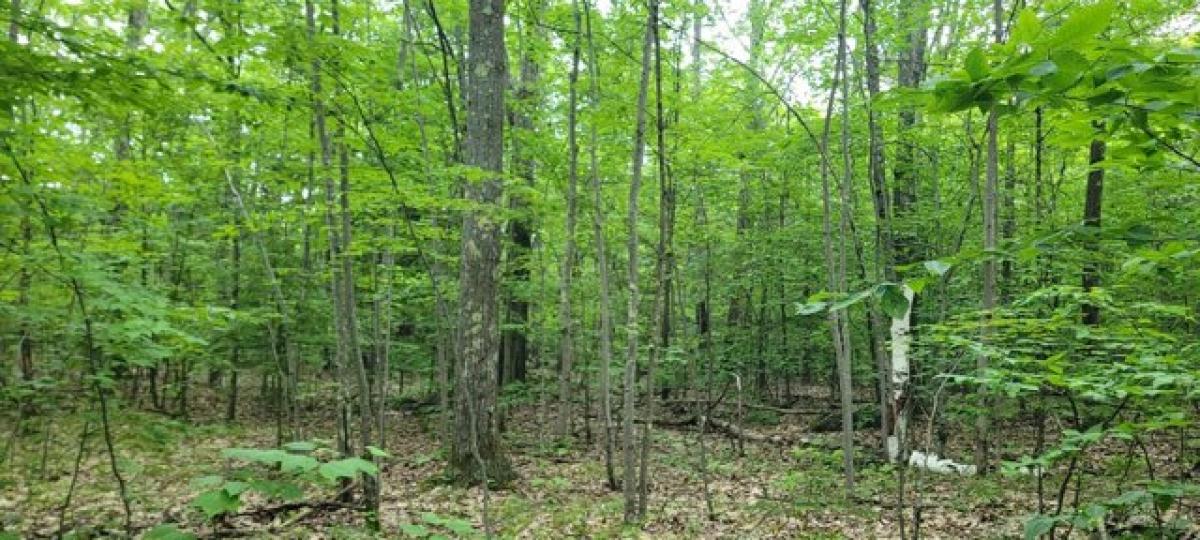 Picture of Residential Land For Sale in West Fulton, New York, United States