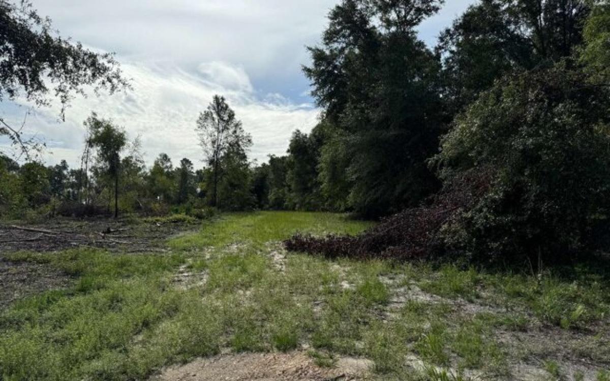 Picture of Residential Land For Sale in White Springs, Florida, United States