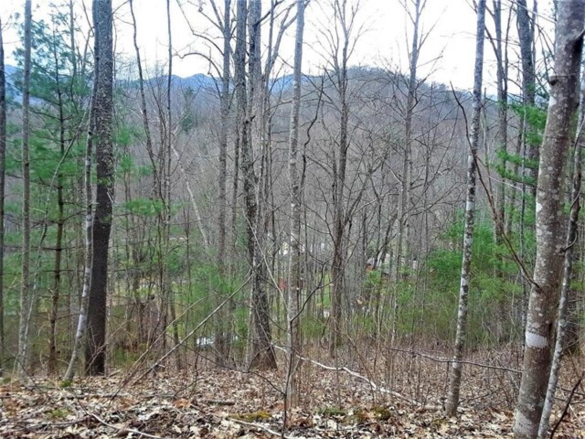 Picture of Residential Land For Sale in Sylva, North Carolina, United States