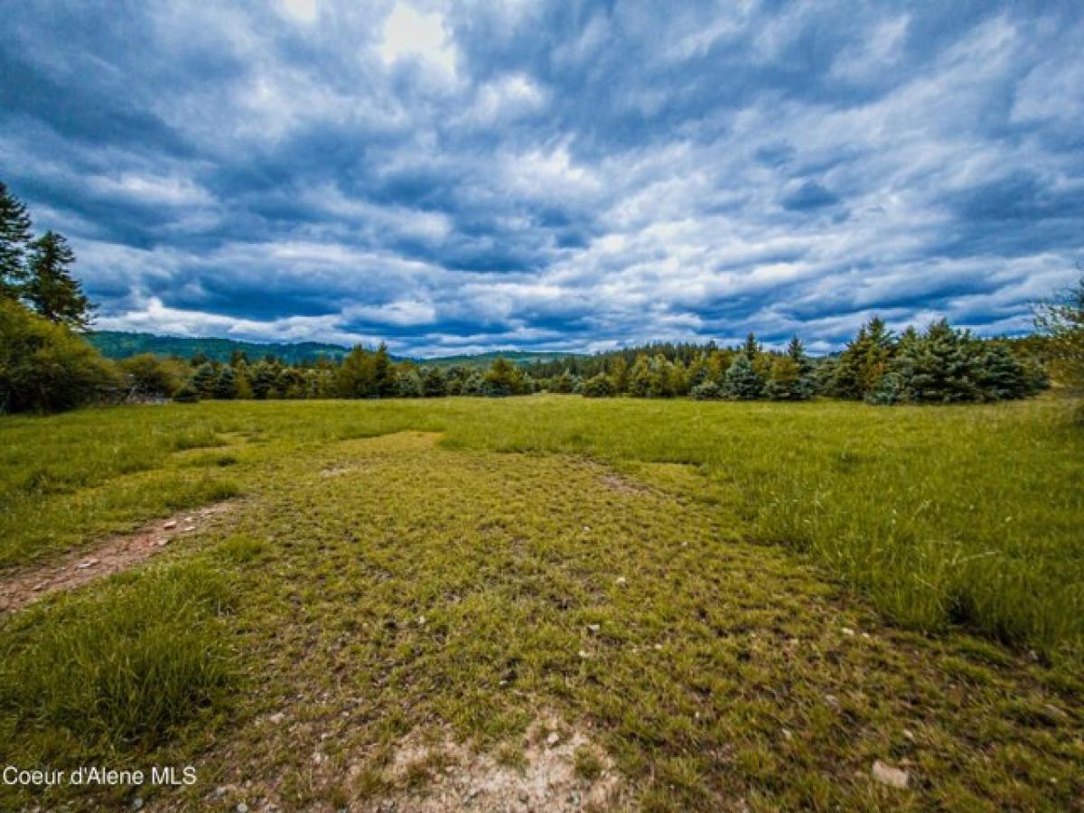 Picture of Residential Land For Sale in Saint Maries, Idaho, United States