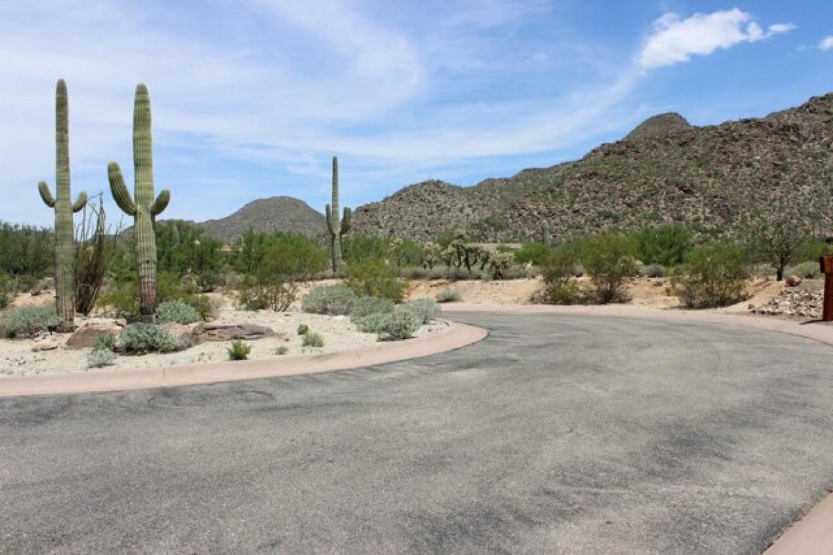 Picture of Residential Land For Sale in Marana, Arizona, United States