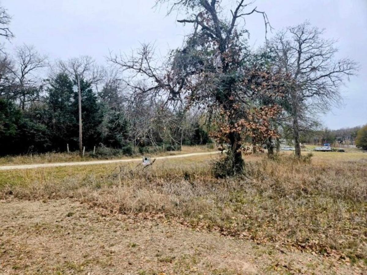 Picture of Residential Land For Sale in Jewett, Texas, United States