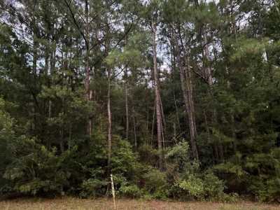 Residential Land For Sale in Ozark, Alabama