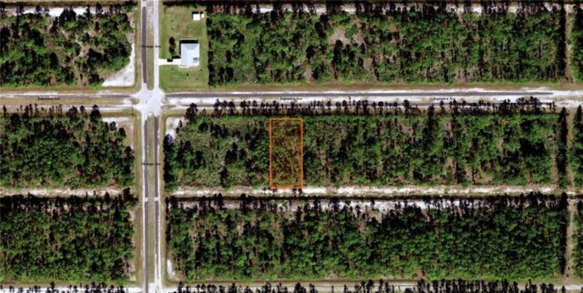 Picture of Residential Land For Sale in Indian Lake Estates, Florida, United States