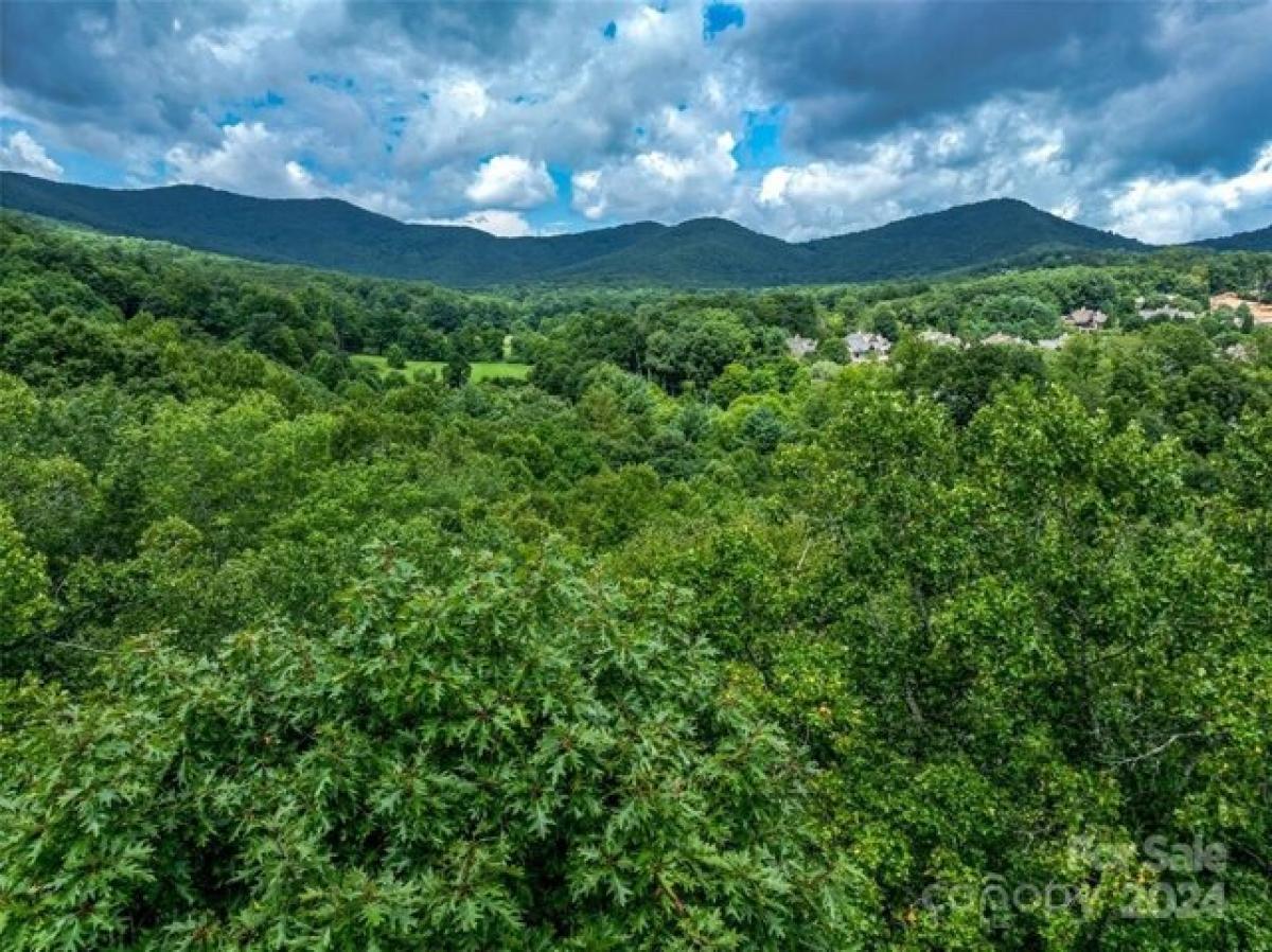 Picture of Residential Land For Sale in Arden, North Carolina, United States