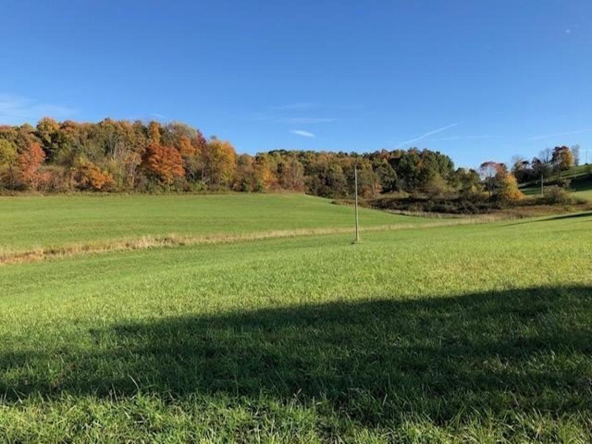 Picture of Residential Land For Sale in New Concord, Ohio, United States