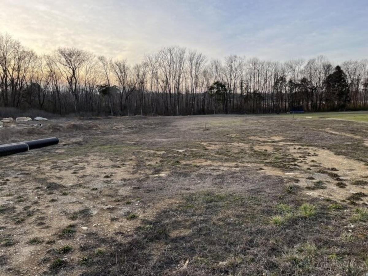 Picture of Residential Land For Sale in Ooltewah, Tennessee, United States