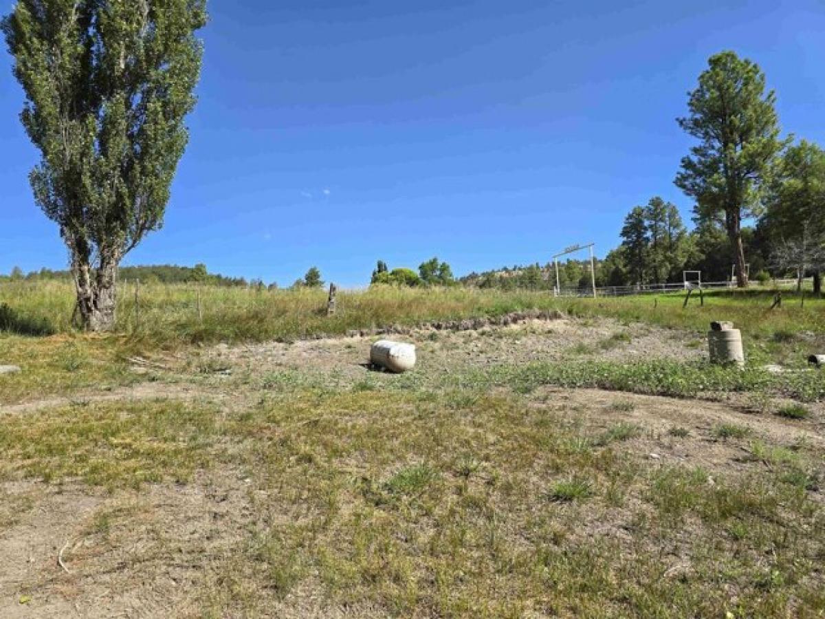 Picture of Residential Land For Sale in Sacramento, New Mexico, United States