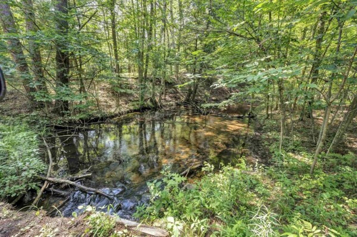 Picture of Home For Sale in Pound, Wisconsin, United States