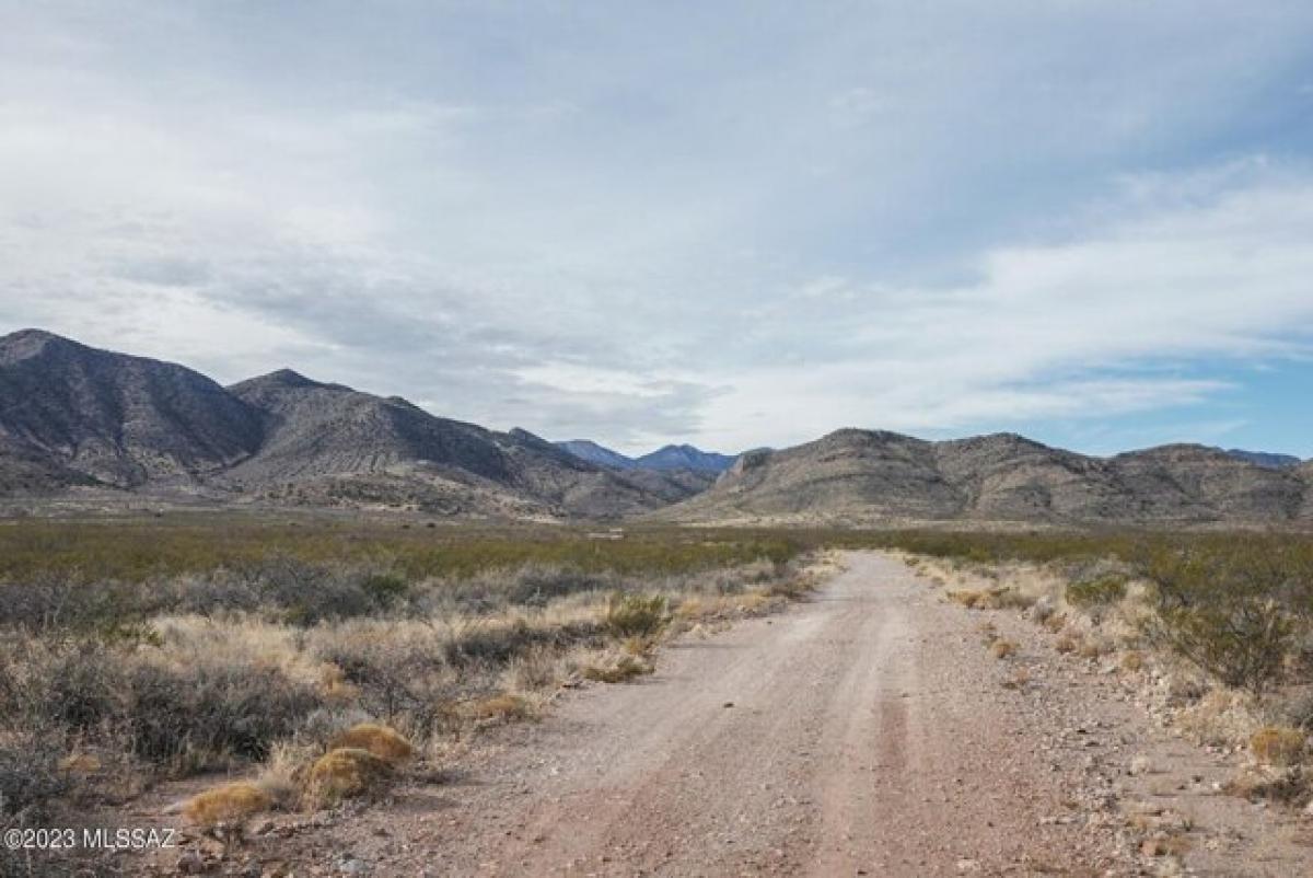 Picture of Residential Land For Sale in Portal, Arizona, United States