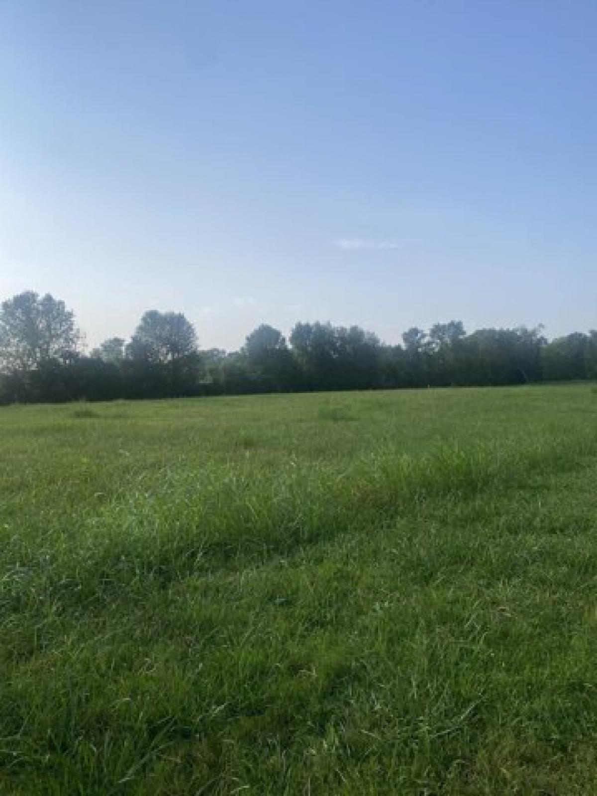 Picture of Residential Land For Sale in Lebanon, Tennessee, United States