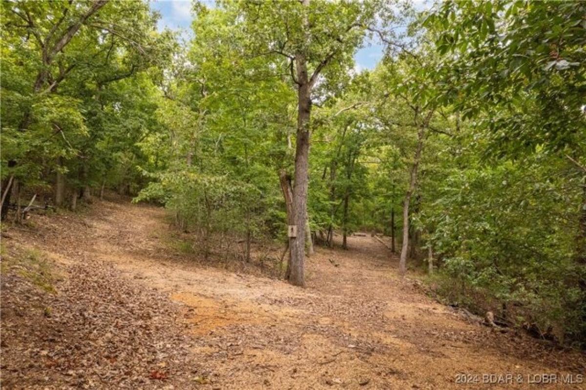 Picture of Residential Land For Sale in Linn Creek, Missouri, United States