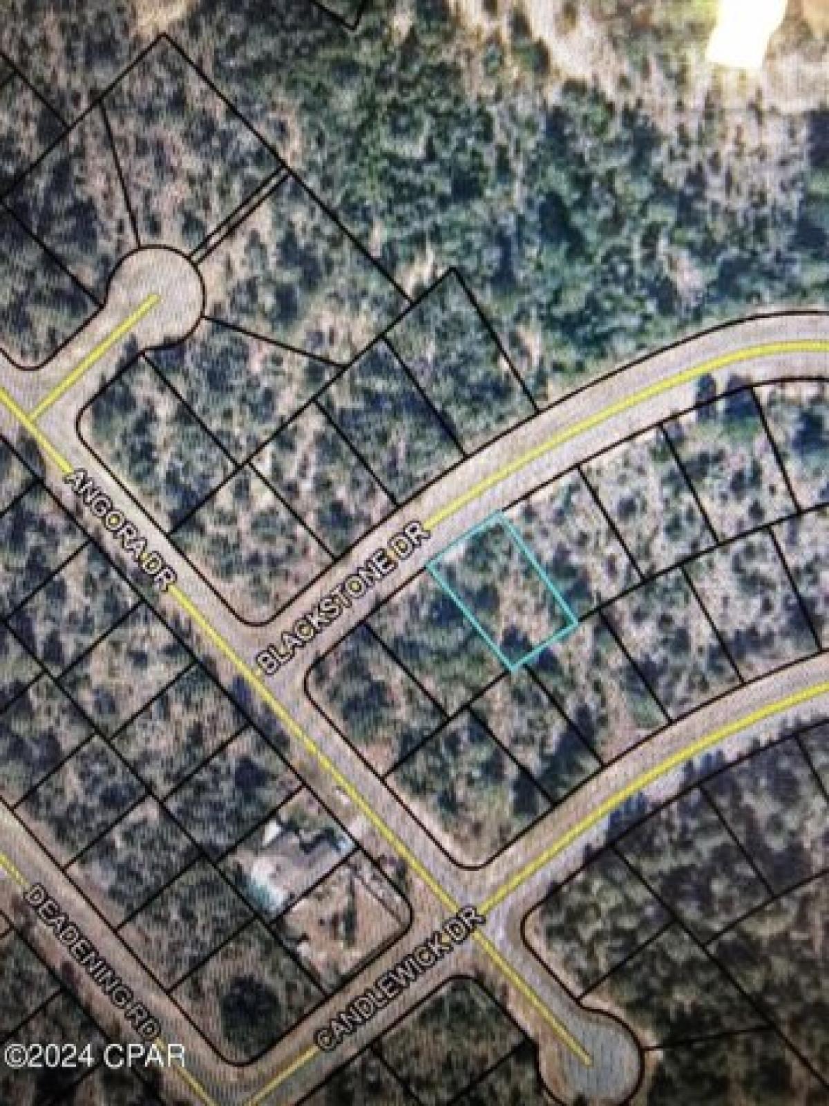 Picture of Residential Land For Rent in Chipley, Florida, United States