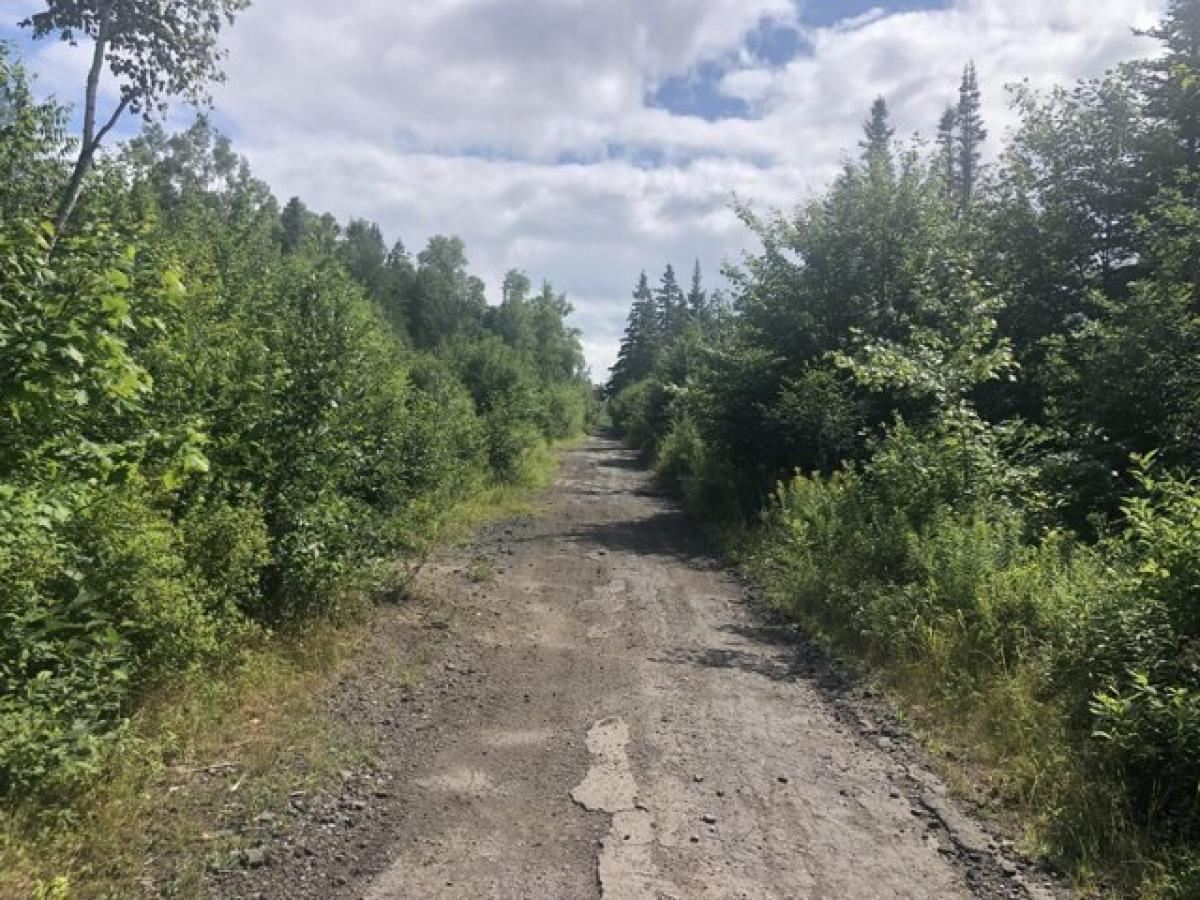 Picture of Residential Land For Sale in Perry, Maine, United States