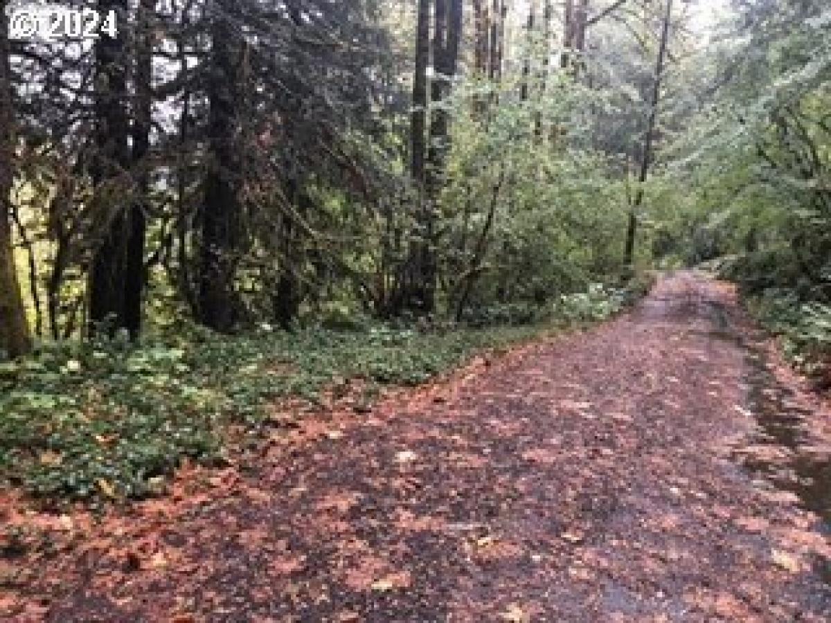 Picture of Residential Land For Sale in Rhododendron, Oregon, United States