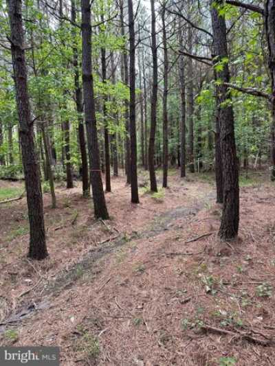 Residential Land For Sale in 