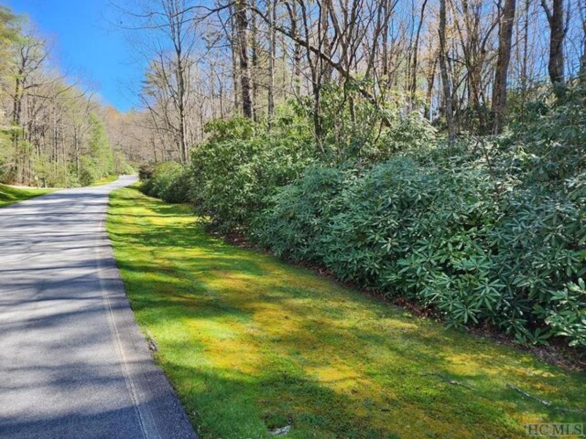 Picture of Residential Land For Sale in Sapphire, North Carolina, United States