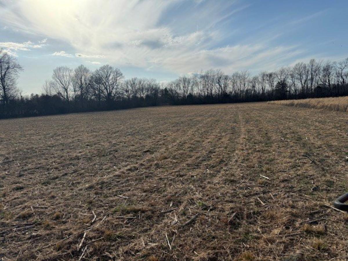 Picture of Residential Land For Sale in Taft, Tennessee, United States