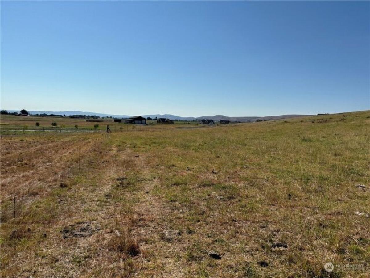 Picture of Residential Land For Sale in Ellensburg, Washington, United States