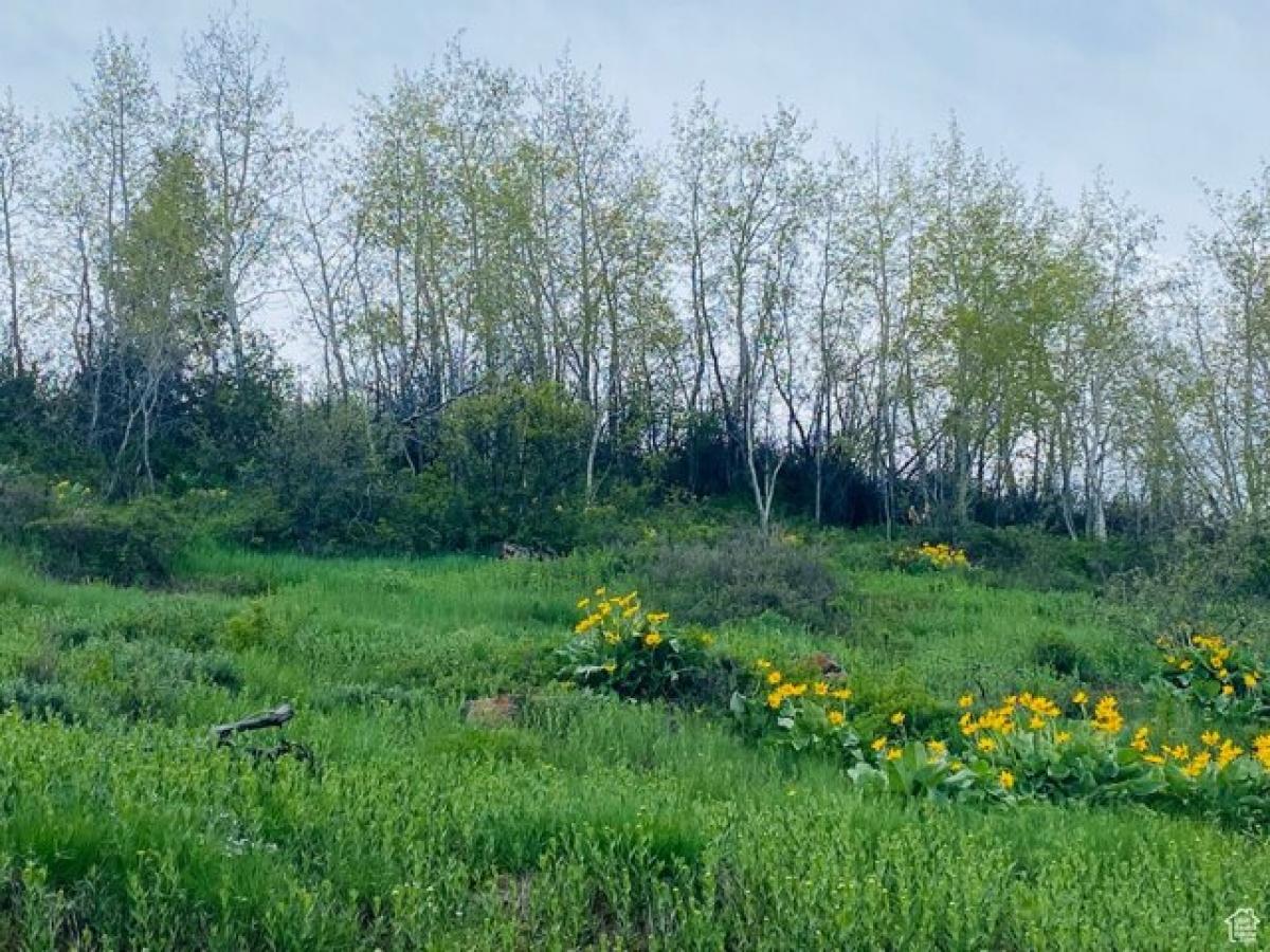 Picture of Residential Land For Sale in Garden City, Utah, United States