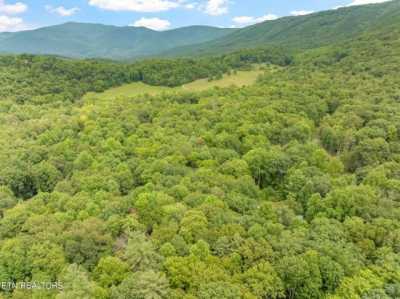 Residential Land For Sale in Cosby, Tennessee