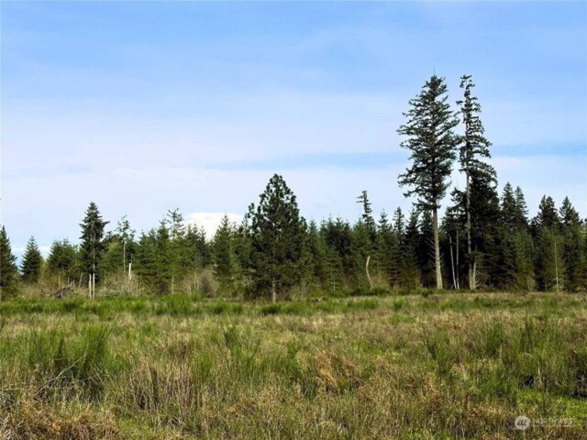 Picture of Residential Land For Sale in Yelm, Washington, United States